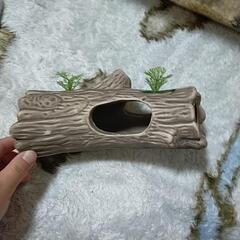 シェルター