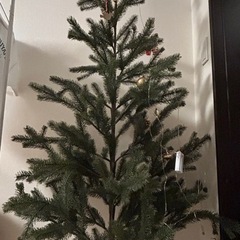 無料クリスマスツリー 