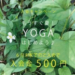 能見台駅徒歩2分　ヨガとピラティスのスタジオ〈インスタイル〉