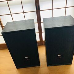 8810 LINEAR PHASE STUDIO MONITOR SPEAKER SET - musical