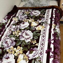 シングルベット5点セットの画像