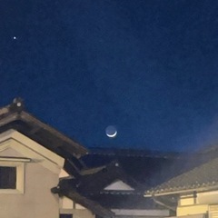 6/2 15:30-のプラネタリウムを一緒に観てくれる方！