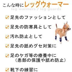 小型犬用ドッグレッグウォーマ/汚れ防止（新品）の画像