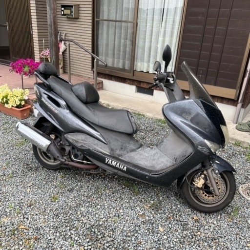 日曜日限定　ヤマハマジェスティ125