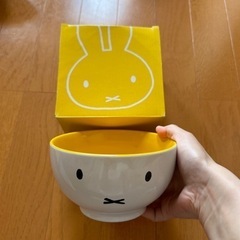 キティーちゃんミッフィーお皿まとめて
の画像