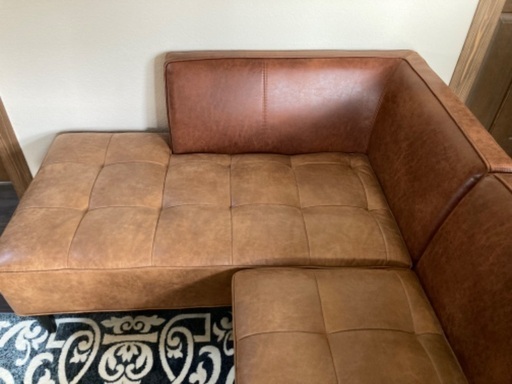 【クラッシュゲート】トリムⅡ　2人掛けソファ（片肘）