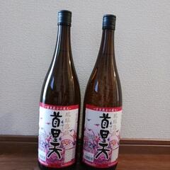 首里天(首里の酒)