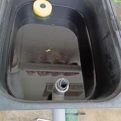 メダカとかに！トロファスト、プランター、水槽の画像