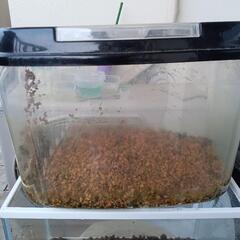 メダカとかに！トロファスト、プランター、水槽の画像