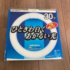 30型昼光色電気1個