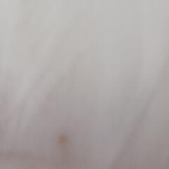 取引、決定しました！②半袖・半ズボン下の画像