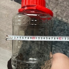 梅酒・梅瓶の画像