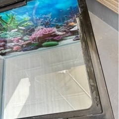 水槽ワイド
の画像