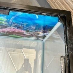 水槽ワイド
の画像