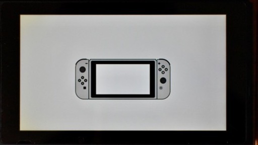 Nintendo Switch あつまれ どうぶつの森セット 