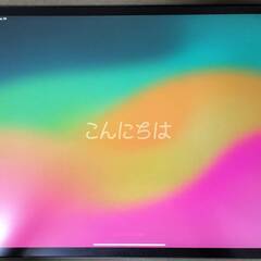iPad Pro 12.9インチ Wi-Fi+Cellular ...
