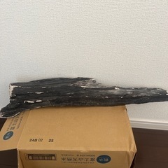 流木