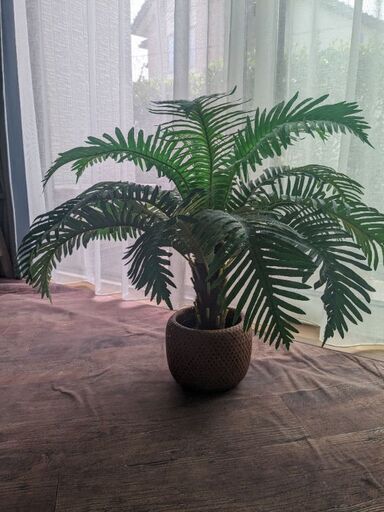 フェイク観葉植物