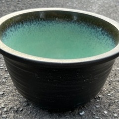 睡蓮鉢　ビオトープ　メダカ飼育にも
