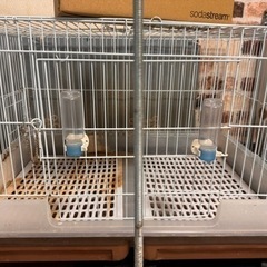 うさぎ小屋