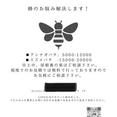 ハチ駆除（山陰エリア）