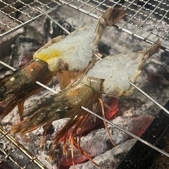 あぶり酒場　串と煙　料理長候補募集！！！の画像