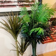 造花　植物　140センチ位　2本セットでの画像