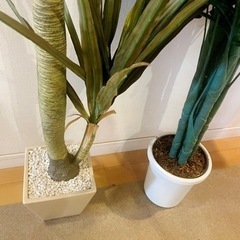 造花　植物　140センチ位　2本セットでの画像