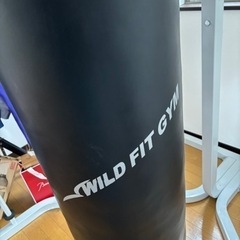 WILD FIT サンドバッグ　グローブ付きの画像