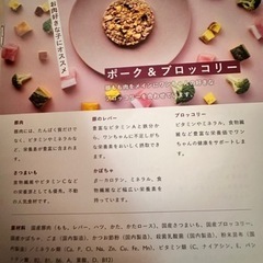 【格安値引き】ウエットドッグフードの画像