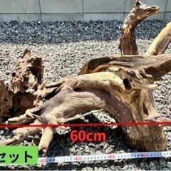 今週末限定値下げ！熊本県手渡し限定！90cm水槽 熊本県の90cm水槽の中古が安い！激安で譲ります・無料であげます
