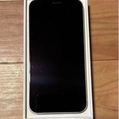 iPhone12