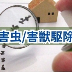 害虫・害獣対策もお任せ🔥