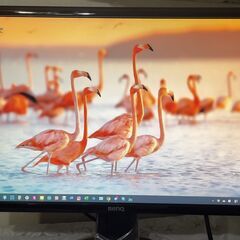 PCモニター　24インチ/フルHD/TN/HDMI,VGA,DVI端子