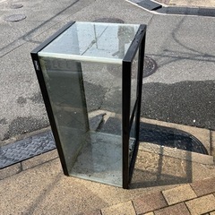 90センチ水槽　お話し中です