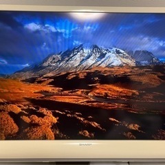 テレビ