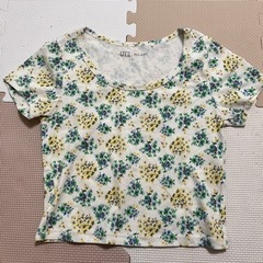 レディース　チビT