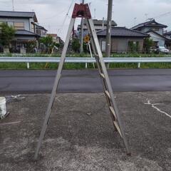 脚立 (２メートル１０センチ)予約者あり