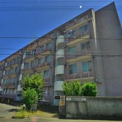 🏢安心の叶えRoom✨『3LDK』取手市宮和田✨敷金礼金無料💰✨人気のペット可物件🐶🐱✨最寄り駅から徒歩13分🚶‍♀️ - 不動産