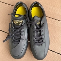 ZETT  金属スパイク　27cmの画像