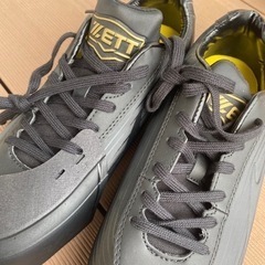 ZETT  金属スパイク　27cmの画像