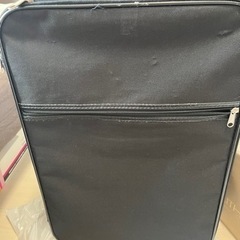 キャリーバック