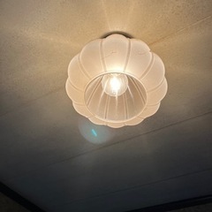 受付停止中　　　電気照明器具の画像