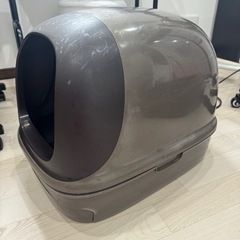 猫トイレの画像