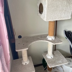 キャットタワー