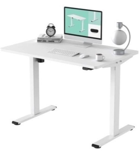【一時らお様予約】格安 FLEXISPOT 電動昇降デスク 120×60