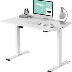 一時らお様予約】格安 FLEXISPOT 電動昇降デスク 120×60