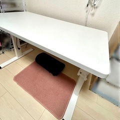 【一時らお様予約】格安 FLEXISPOT 電動昇降デスク 120×60の画像
