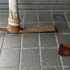 工具 バチヅル 他の画像