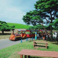 名取のフレゴリスいきましょう☕